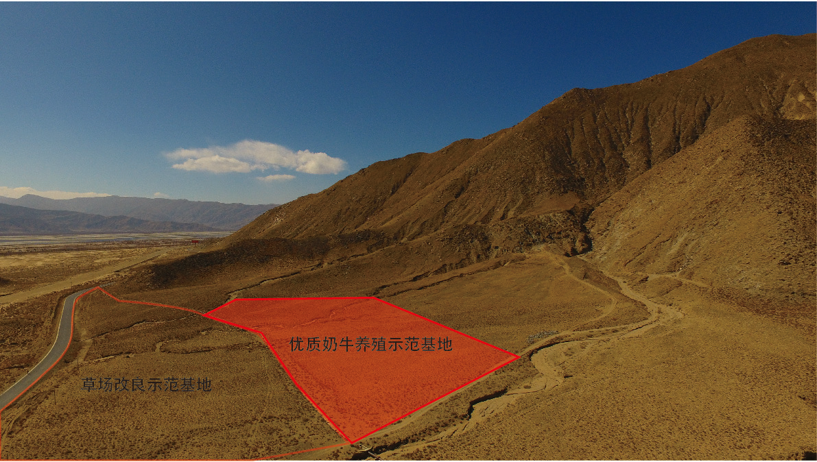 中国·304永利(集团有限公司)-官方网站