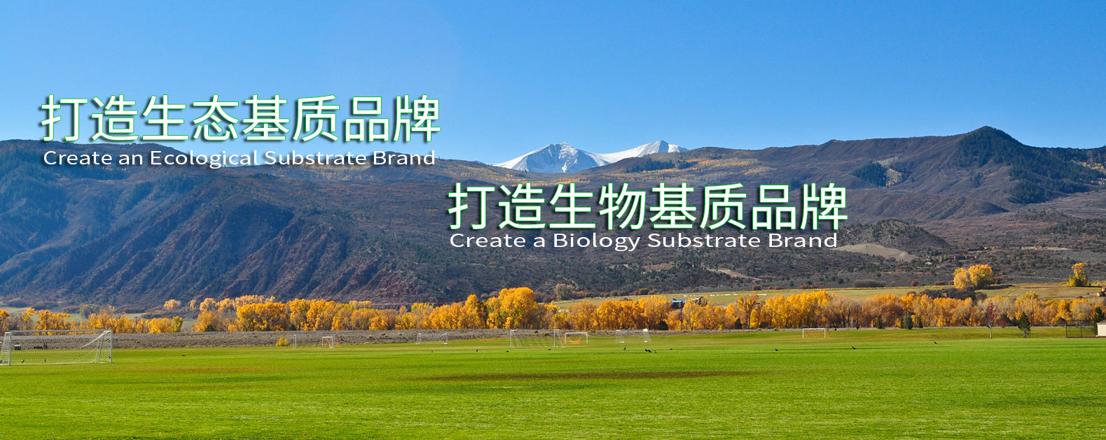 中国·304永利(集团有限公司)-官方网站
