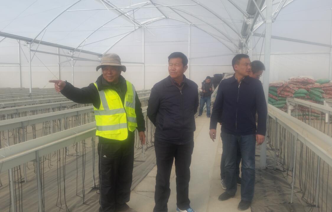 中国·304永利(集团有限公司)-官方网站