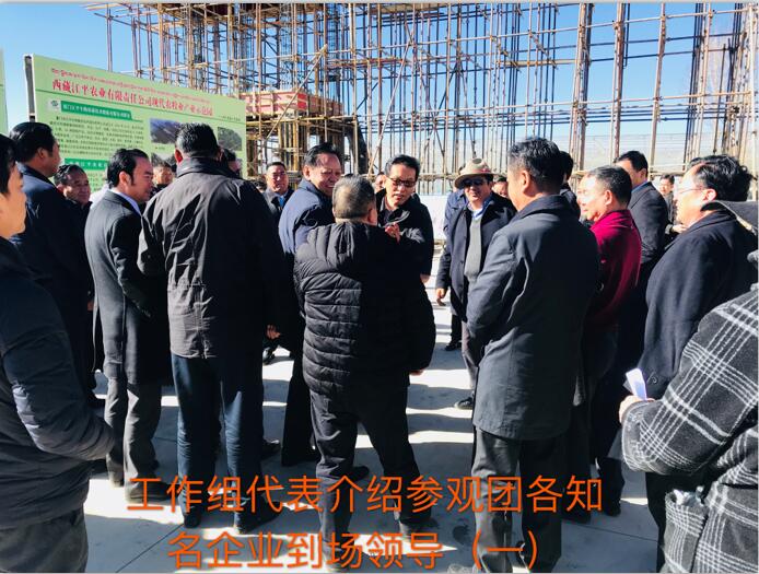 中国·304永利(集团有限公司)-官方网站