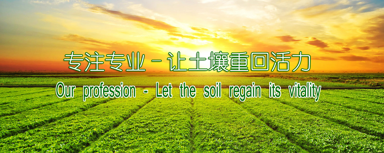 中国·304永利(集团有限公司)-官方网站
