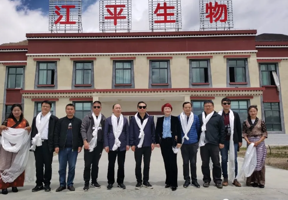 中国·304永利(集团有限公司)-官方网站
