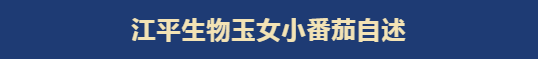 中国·304永利(集团有限公司)-官方网站