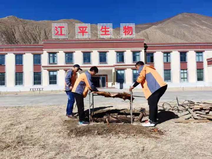 中国·304永利(集团有限公司)-官方网站