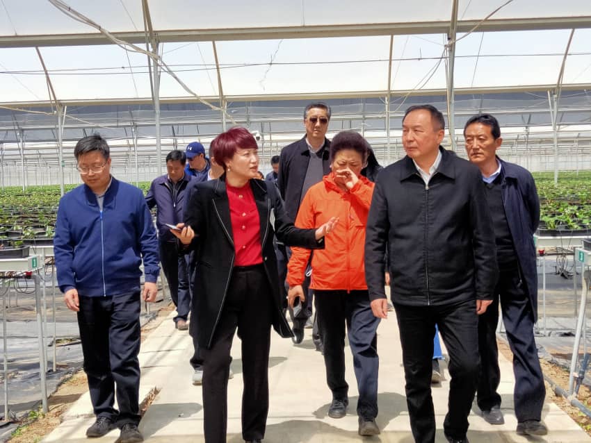 中国·304永利(集团有限公司)-官方网站