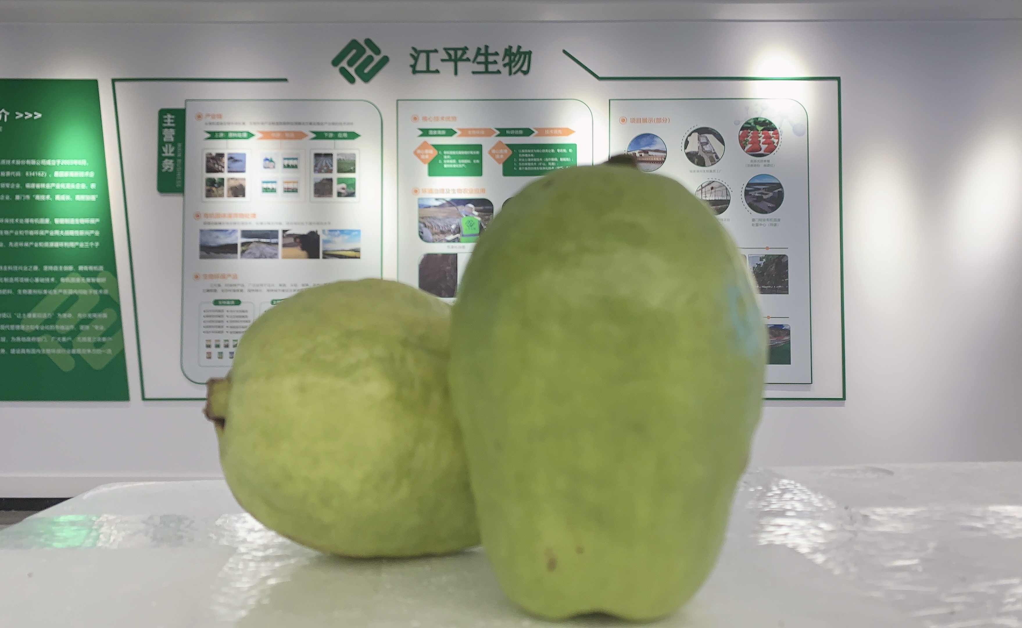 中国·304永利(集团有限公司)-官方网站
