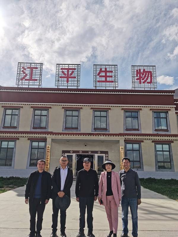 中国·304永利(集团有限公司)-官方网站