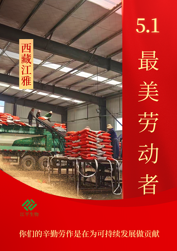 中国·304永利(集团有限公司)-官方网站