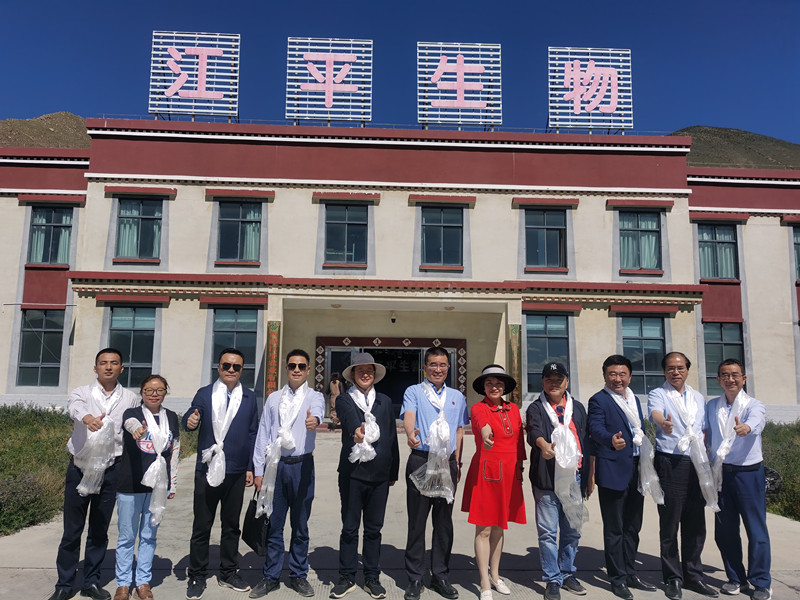 中国·304永利(集团有限公司)-官方网站