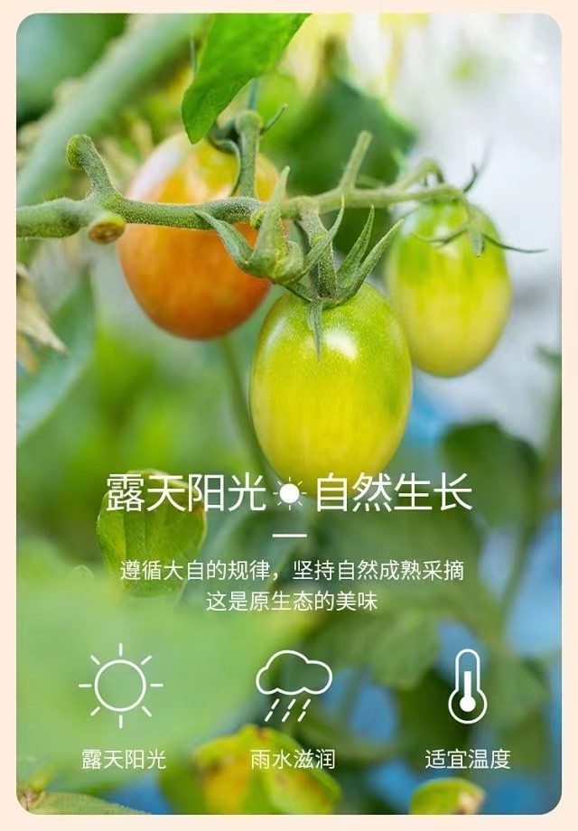 中国·304永利(集团有限公司)-官方网站