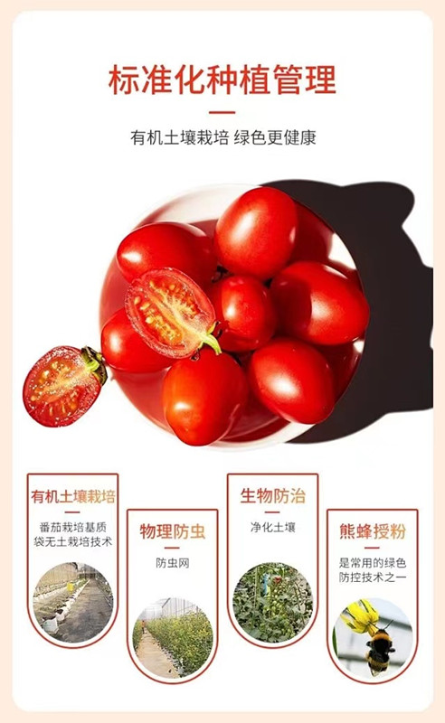 中国·304永利(集团有限公司)-官方网站