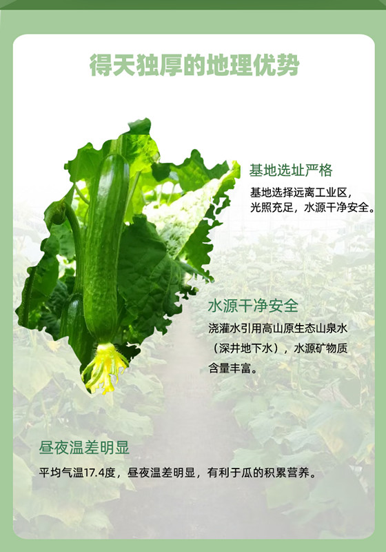 中国·304永利(集团有限公司)-官方网站