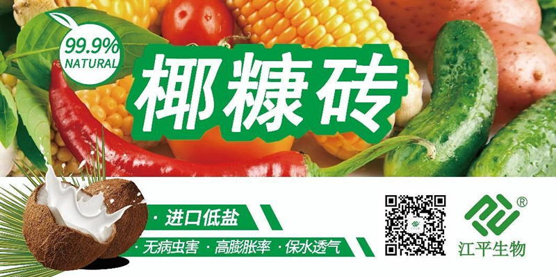 中国·304永利(集团有限公司)-官方网站
