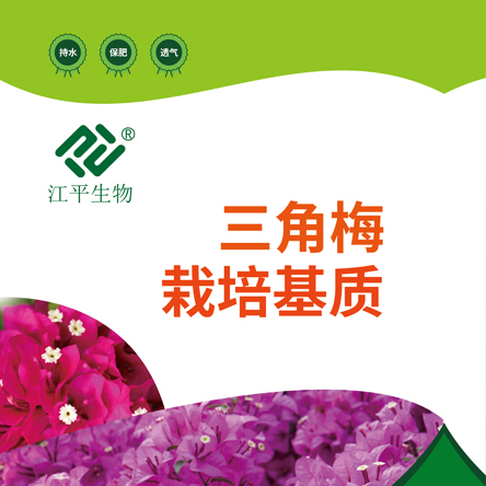 中国·304永利(集团有限公司)-官方网站