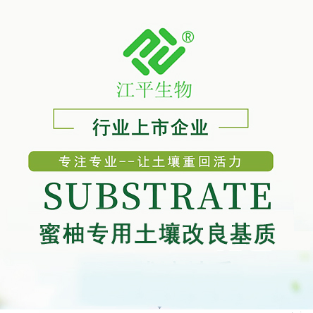 中国·304永利(集团有限公司)-官方网站
