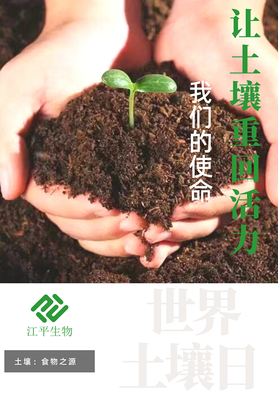 中国·304永利(集团有限公司)-官方网站